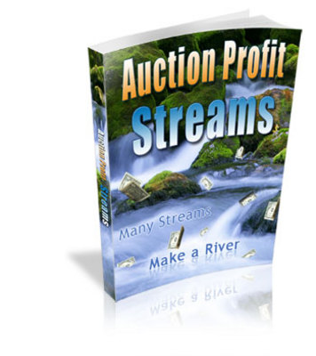 Product picture Auction Profit Streams - Home Based Business Guide