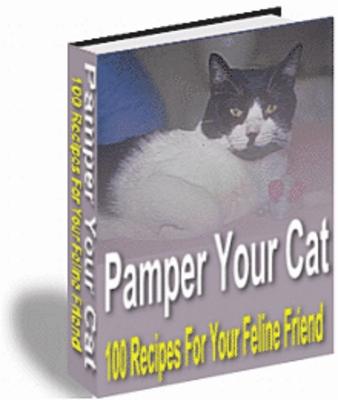 Product picture 100 Recipes For Your Cat
