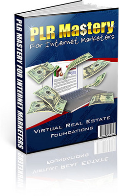 Product picture PLR Mastery - Secret Private Label Rights Tips