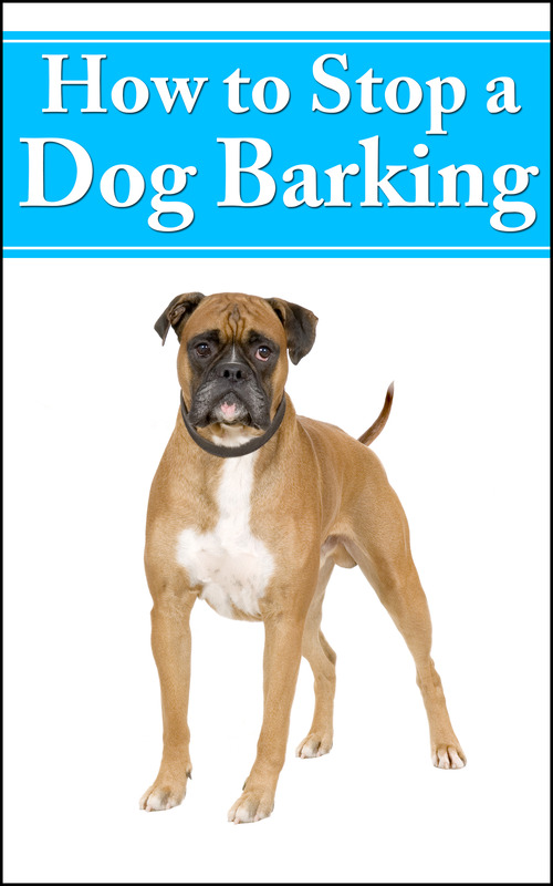 Product picture How To Stop A Dog Barking (PLR)