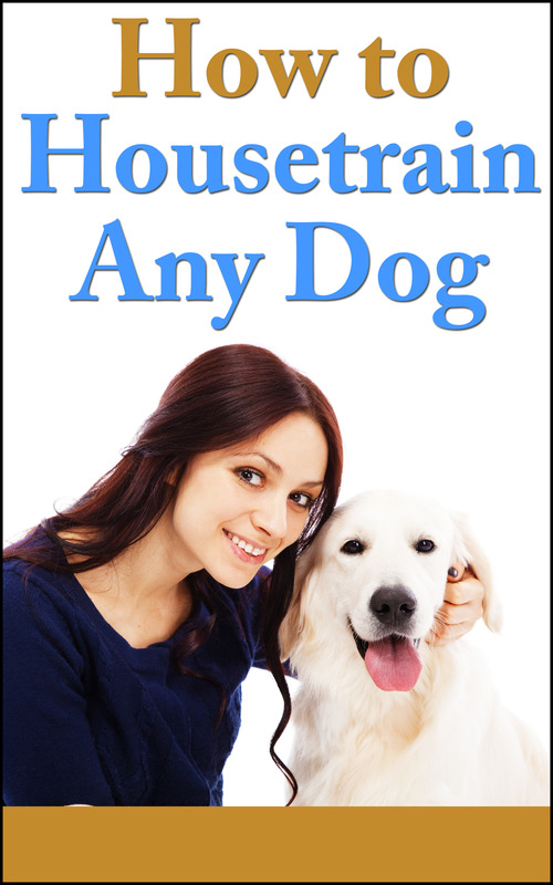 Product picture How To Housetrain Any Dog (PLR)